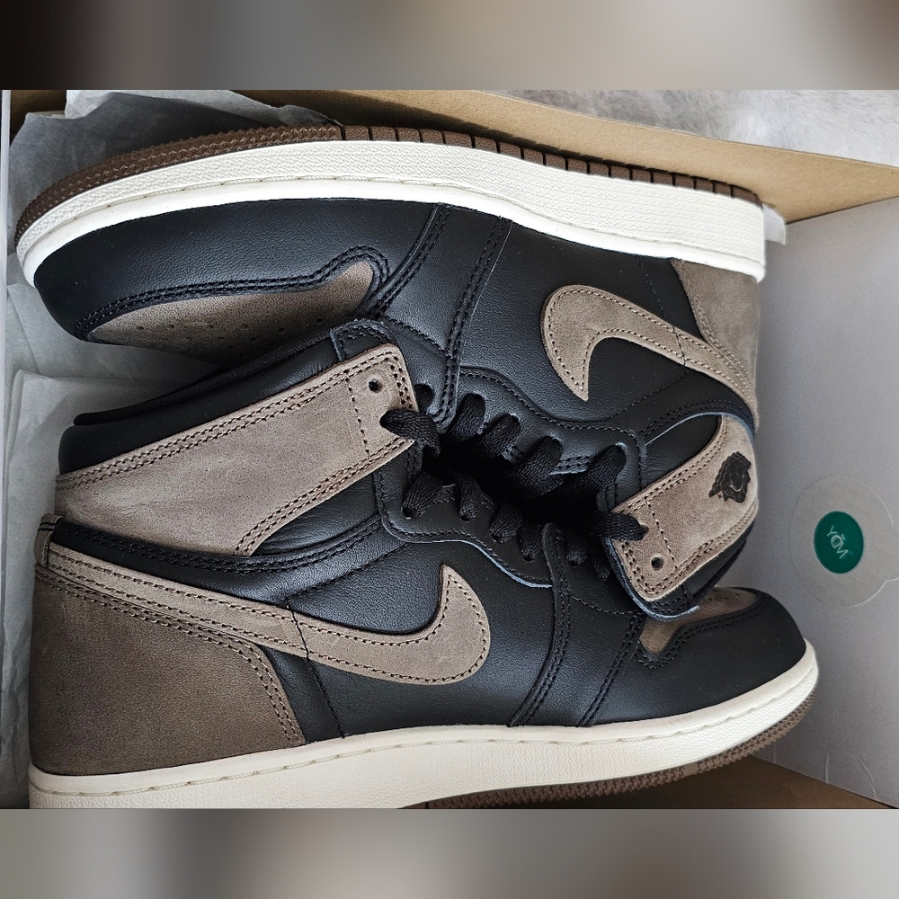 Air Jordan 1 Retro High OG Palomino